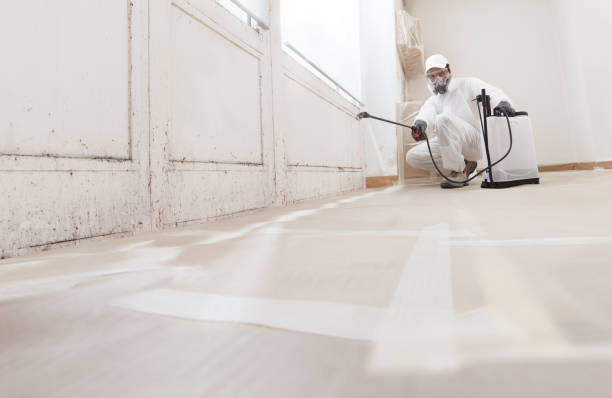 24/7 Emergency Mold Remediation experts in York, PA